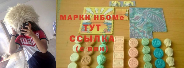 шишки Магас