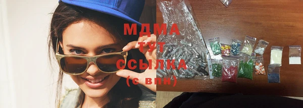 шишки Магас