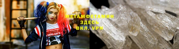 шишки Магас