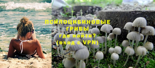 ALPHA PVP Медногорск