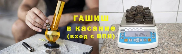 шишки Магас