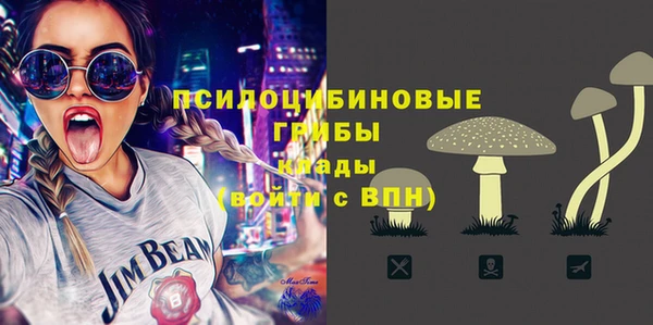 шишки Магас
