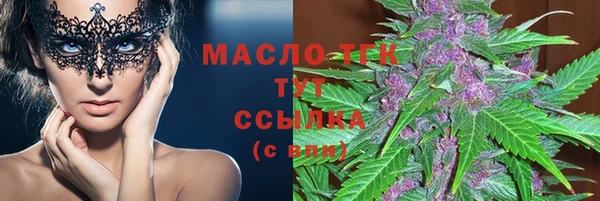 шишки Магас