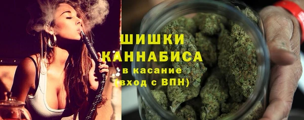 шишки Магас
