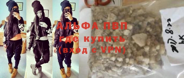 шишки Магас