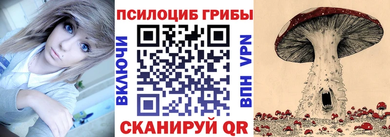 mega   Суровикино  Псилоцибиновые грибы Psilocybine cubensis  дарнет шоп 